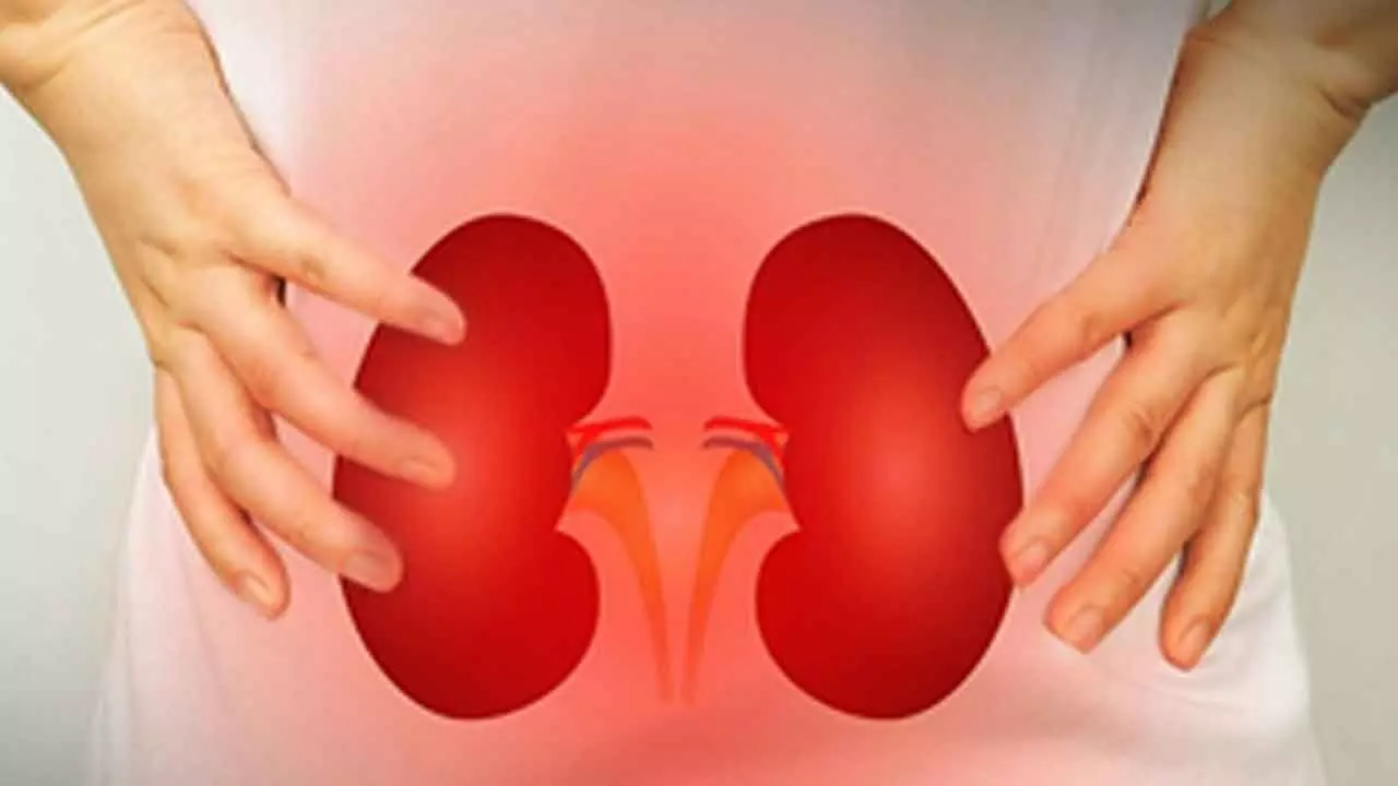 Kidney problems raise risk of strokes: Experts