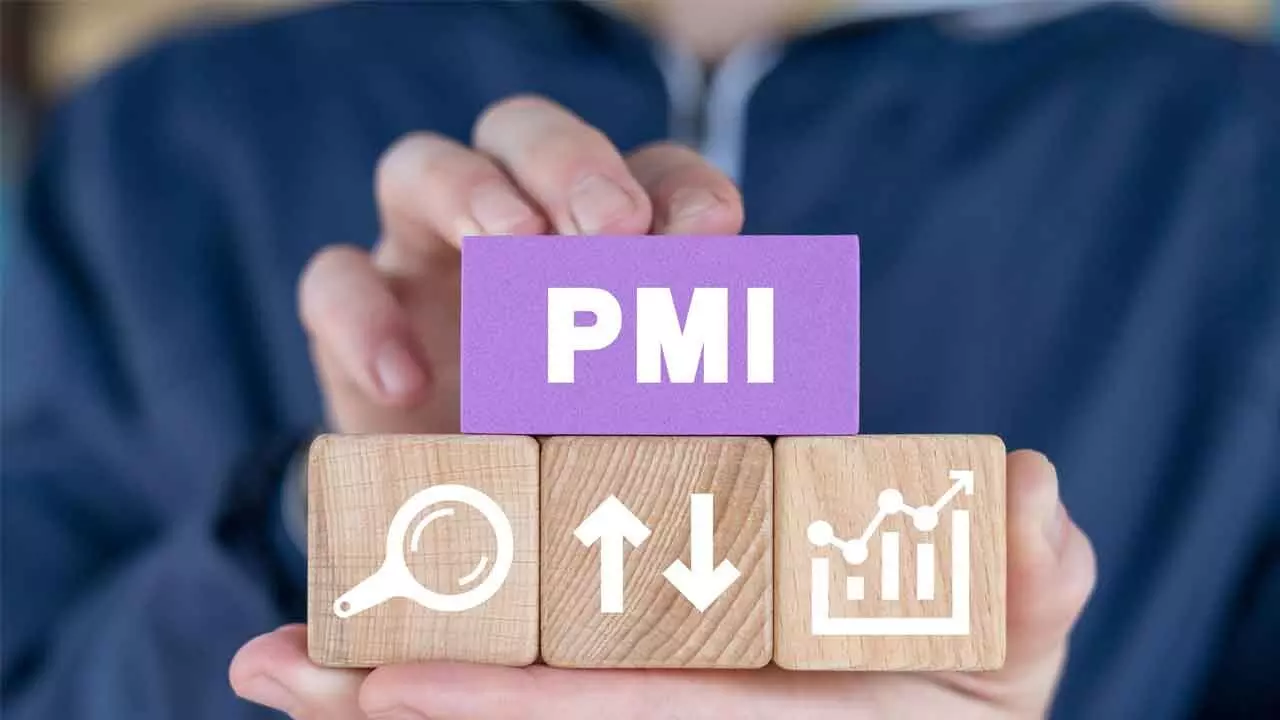 Biz Expansion Fuels PMI Services Growth