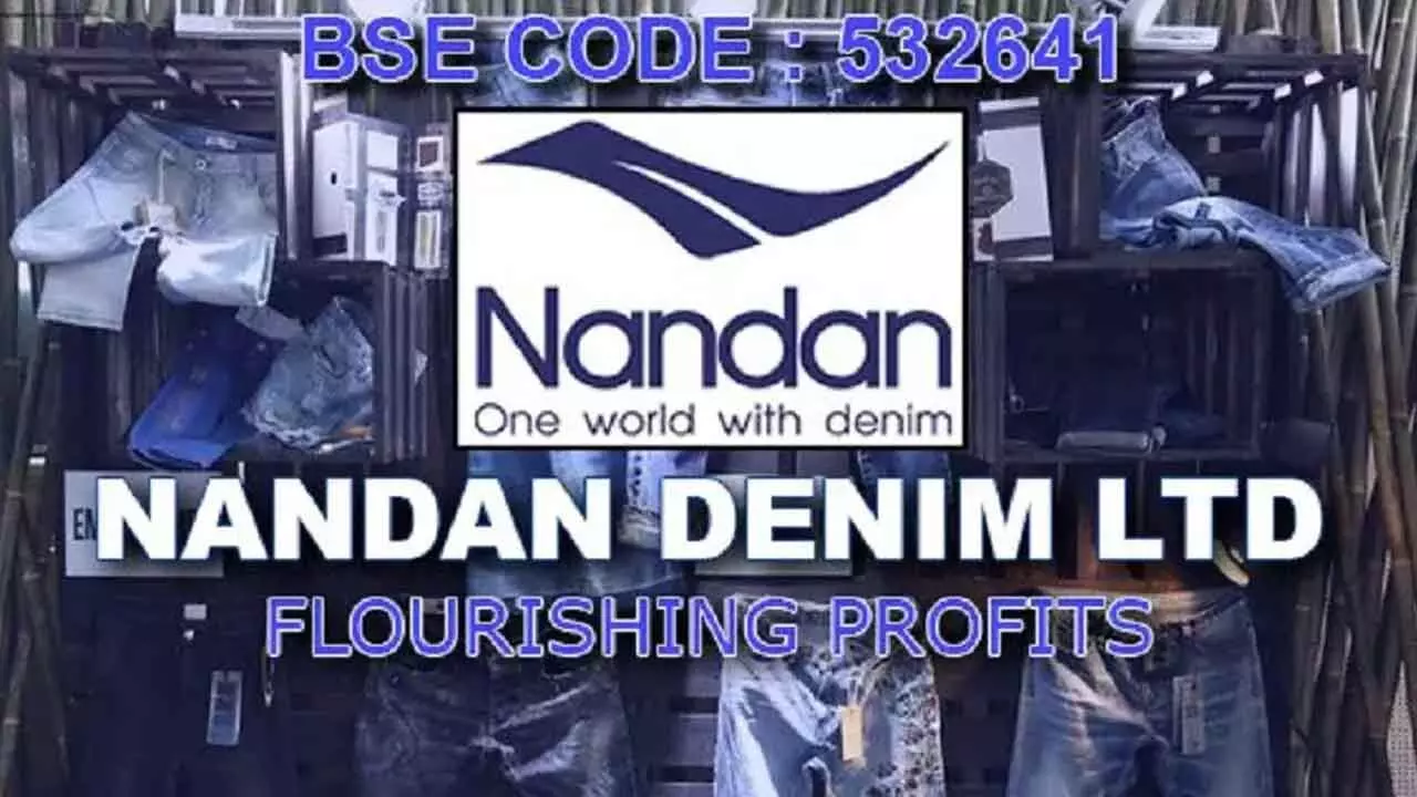 Nandan Denim PAT Jumps 64% YoY In Q2FY25