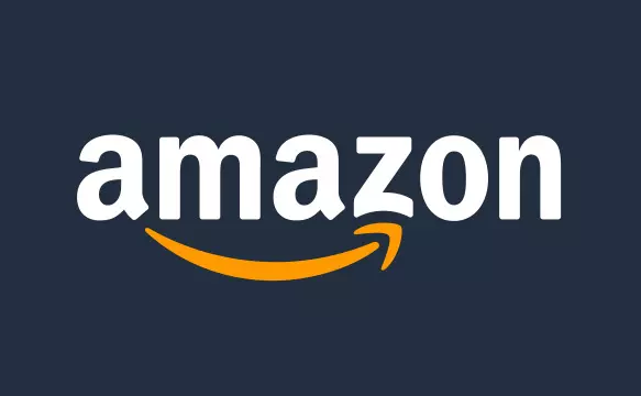 ED Conducts Raids On  Amazon and Flipkart Vendors