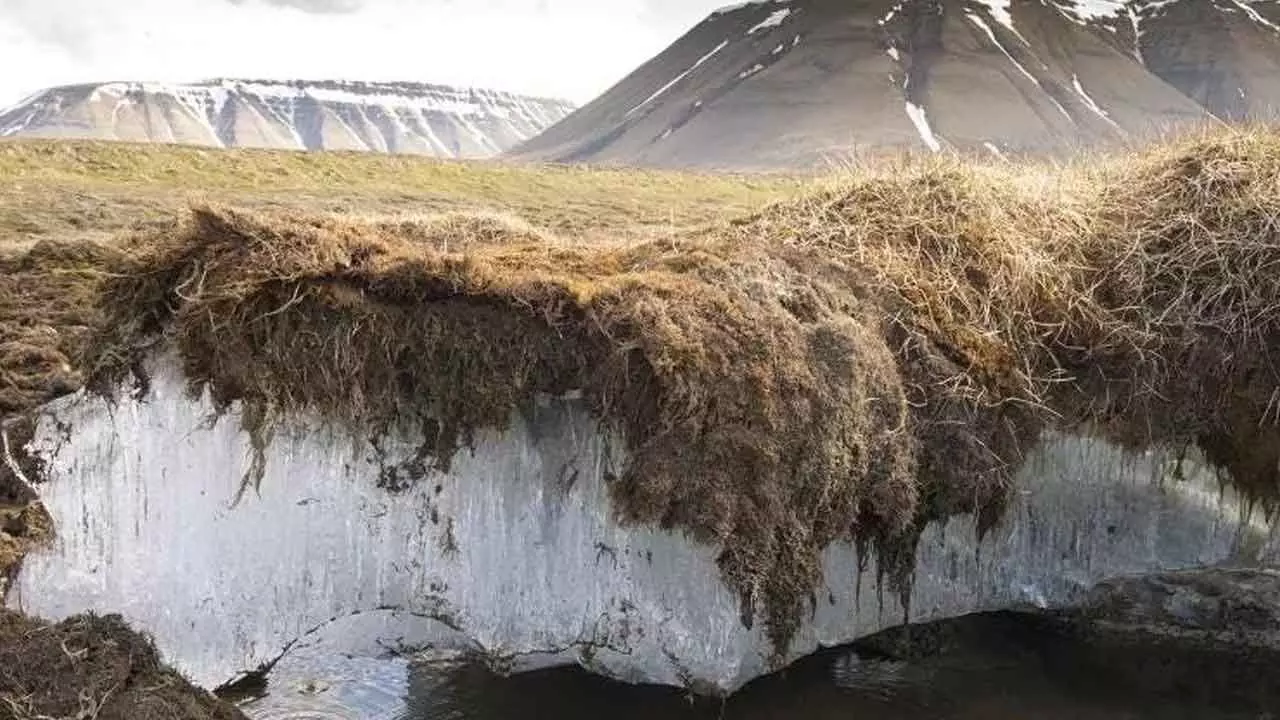 As Permafrost Melts, Will Carbon Sink Become A Climate Catalyst?