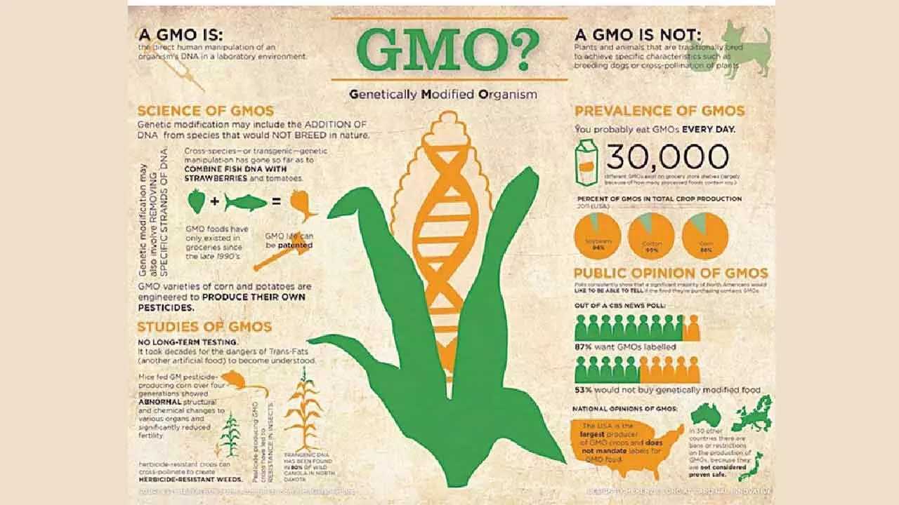 Govt Must Debate And Discuss With All Stakeholders Before Finalising Policy Document On GM Crops