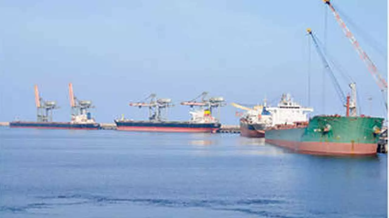 Adani Gvaram Port Sets Record In Log Handling