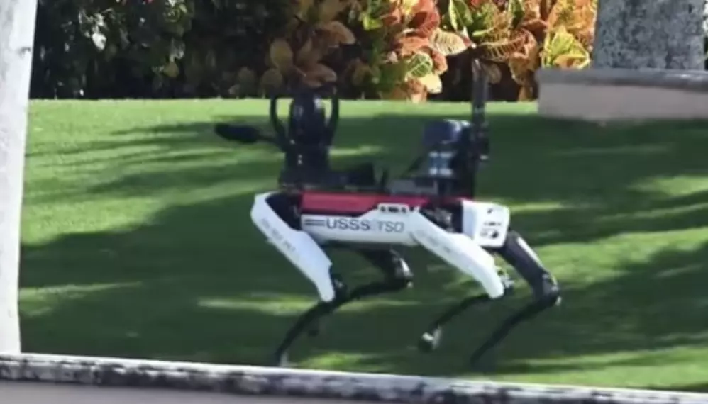 Viral Video: Robotic dog patrols Donald Trumps Mar-a-Lago estate after election win