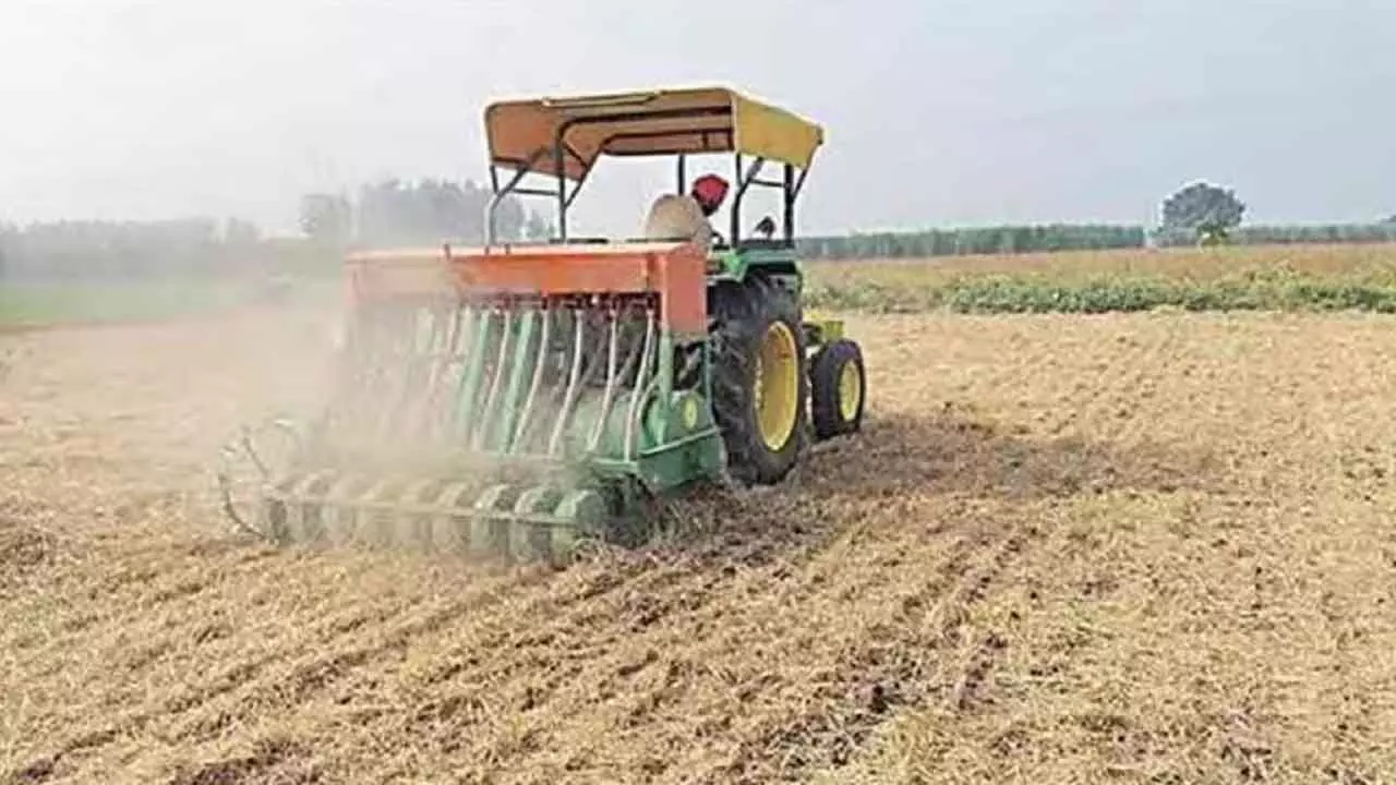 Wheat Sowing On Track Despite Delayed Paddy Harvest