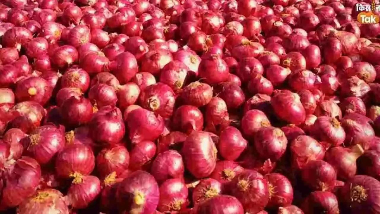 Onion Prices Likely To Dip With Arrival Of New Crop