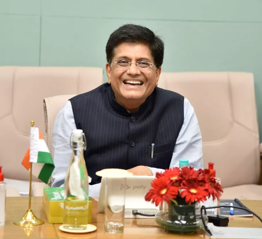 Using food inflation in rate-setting flawed; RBI should cut rates for pushing growth: Goyal