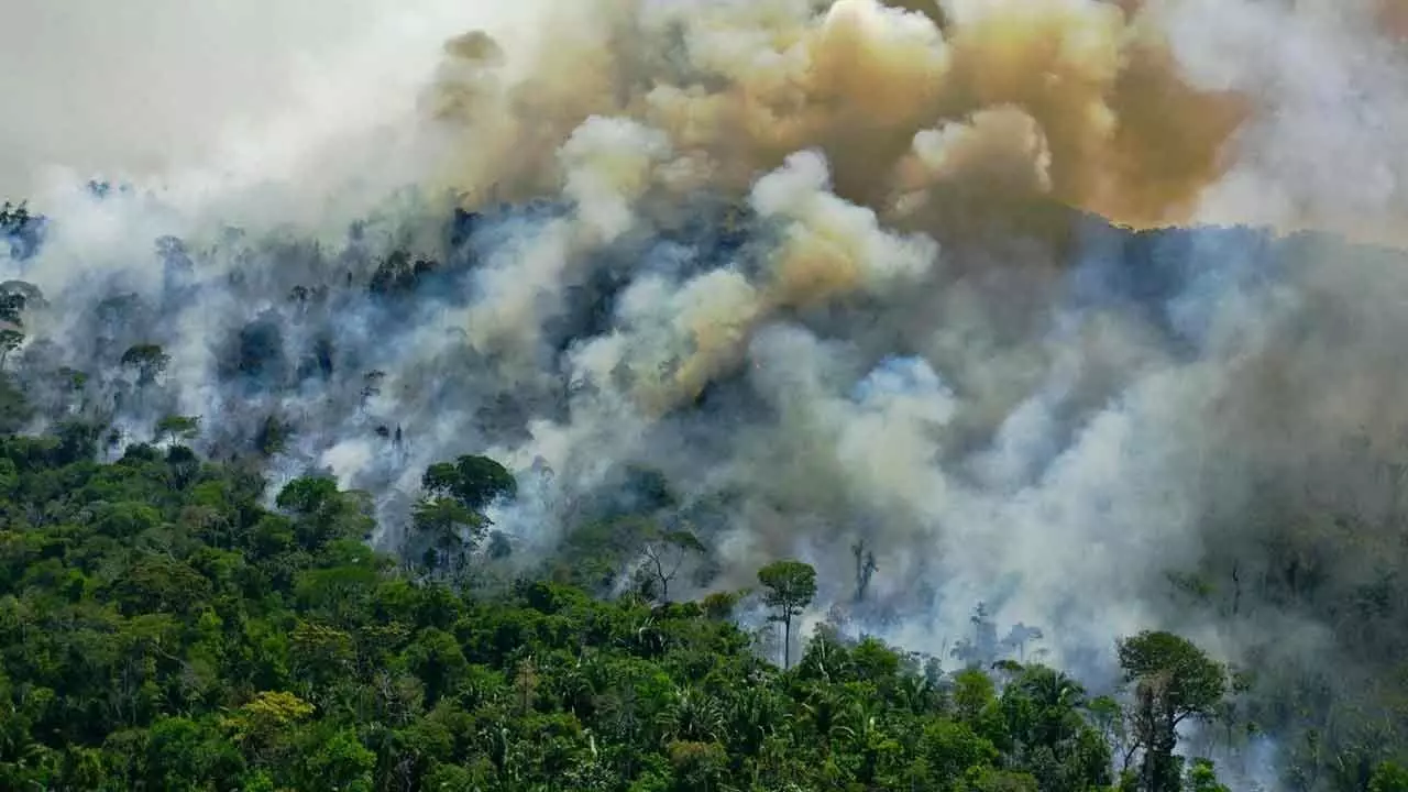 Unabated CO2 Emissions And Global Warming Will Kill Tropical Rain Forests