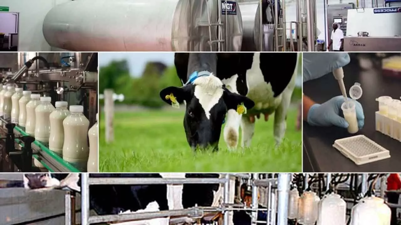 Centre Offers 4 Dairy Technologies To States