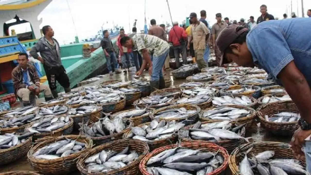 India To Launch New Schemes To Promote Fishing Sector