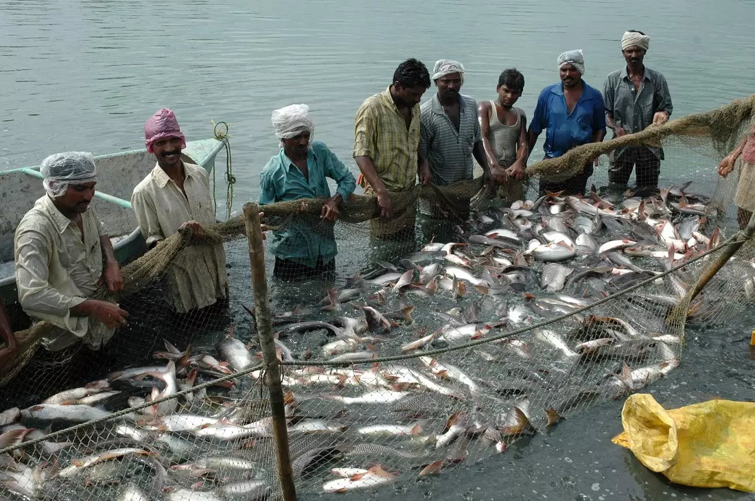 India’s annual fish production doubles to 17.5 million tons in last 10 years: Fisheries Minister