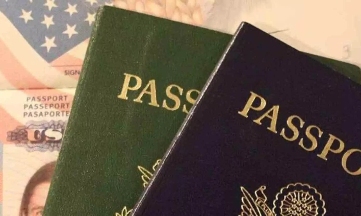 Mexico Tops List of Most Expensive Passports in 2024, While India Offers Best Value