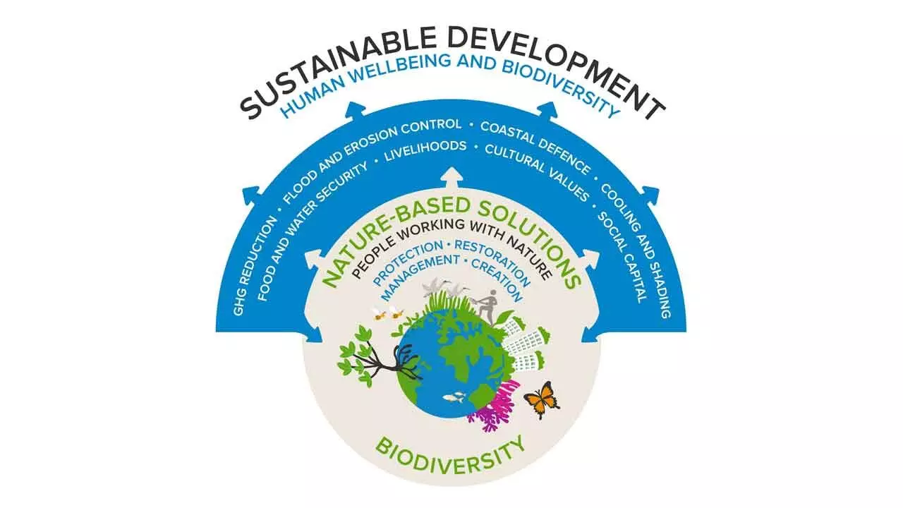 Healthy Ecosystems And Stable Climate Crucial For Climate Resilience And To Protect Biodiversity