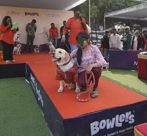 Pedigree Pro HyCan24 Canine show held in Hyderabad