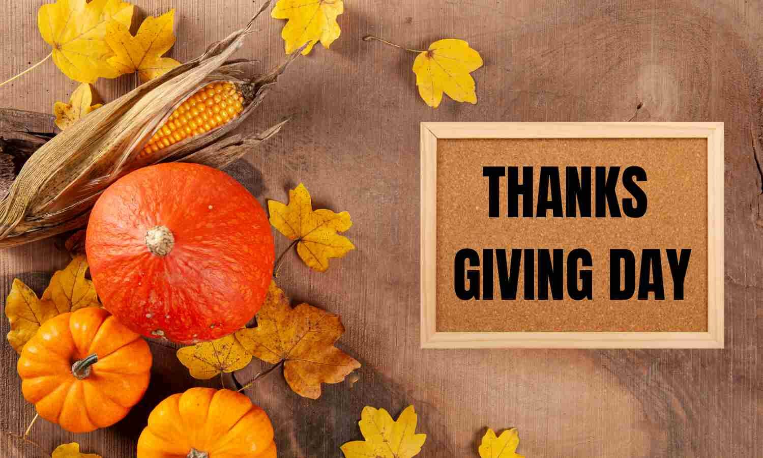 Happy Thanksgiving 2024 Wishes, Messages & Quotes For Your Loved Ones