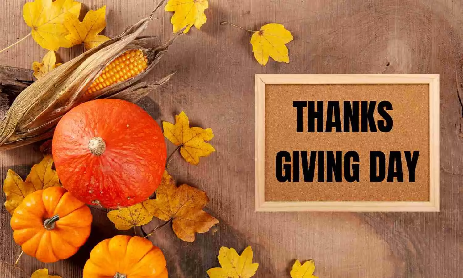 Happy Thanksgiving 2024: Wishes, Messages & Quotes For Your Loved Ones