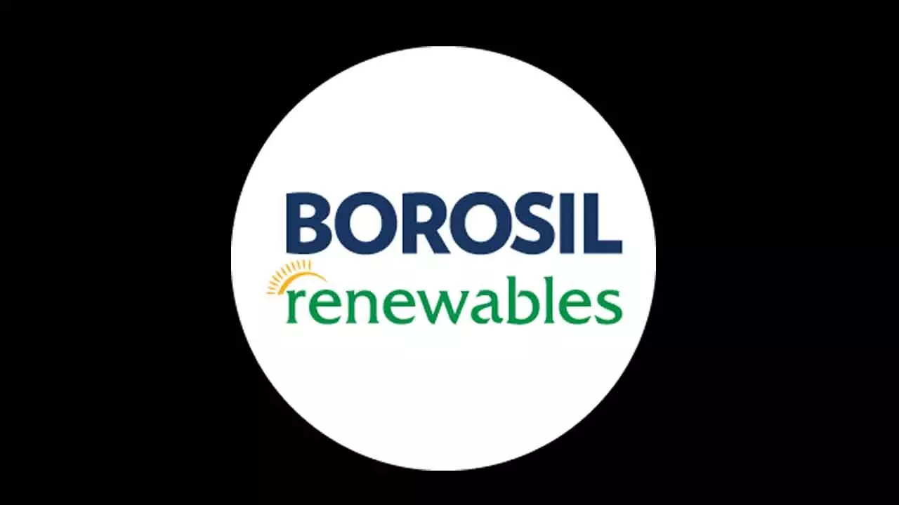 Borosil Renewables Appoints Melwyn Moses As CEO