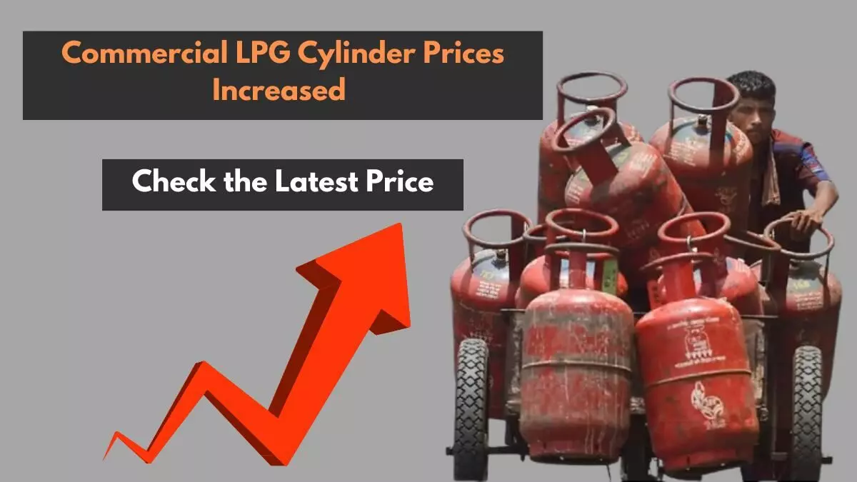 LPG Cylinder Price Hike: A Fresh Jolt to Consumers