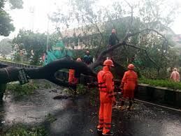 Cyclone Fengal: Holidays Announced For Schools And Colleges; Madras ...