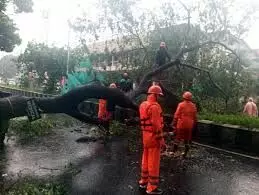 Cyclone Fengal: Holidays Announced for Schools and Colleges; Madras University Exams Rescheduled