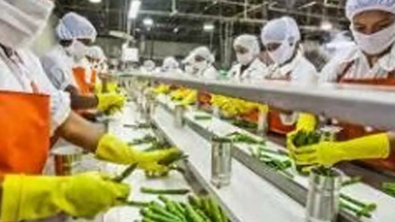 FDI In Food Processing Sector Reaches $368 Mn