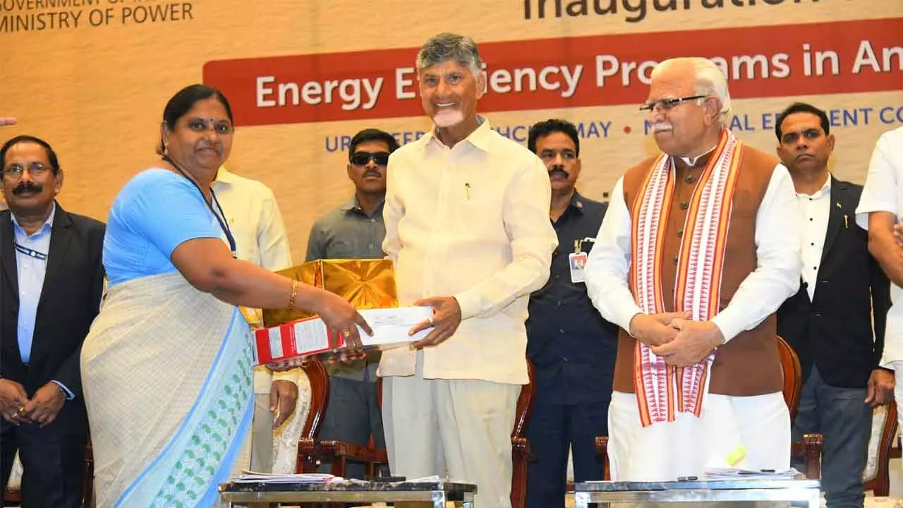 Focus On Green Energy: Naidu