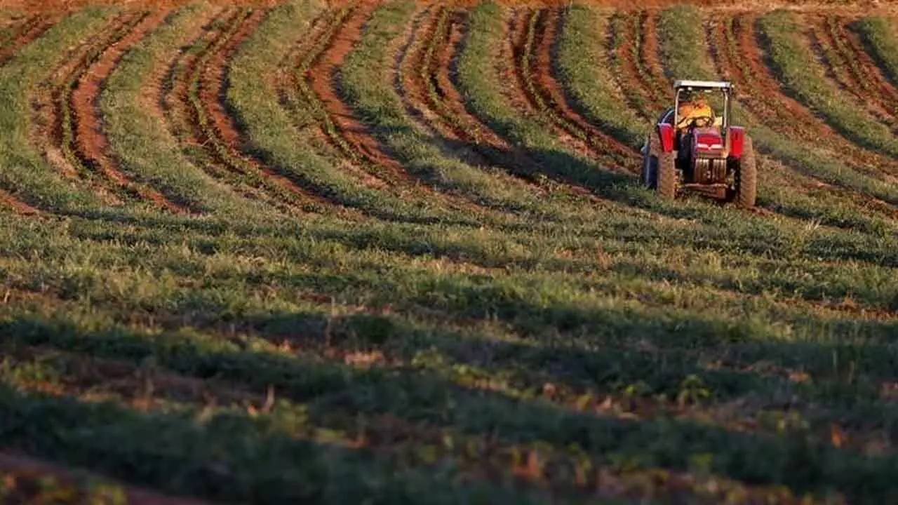 Agri Growth Remains A Bright Spot In India: Report