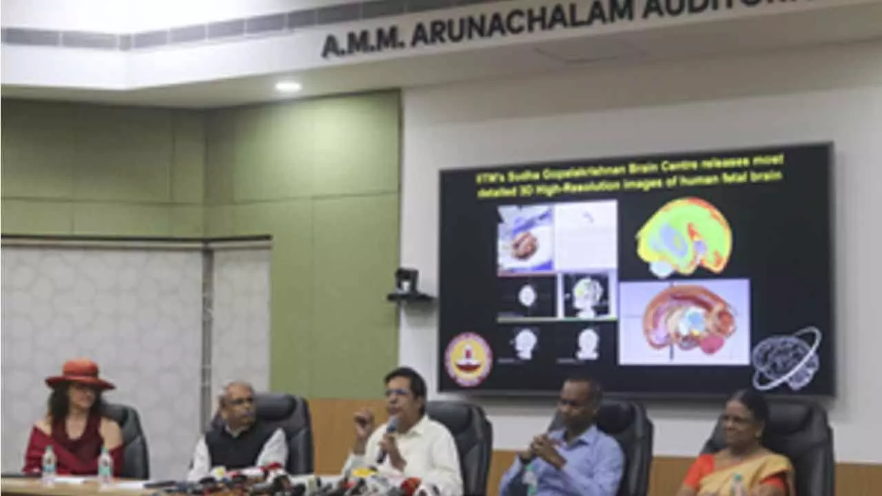 IIT-M Releases 1st 3D Images Of Human Foetal Brain