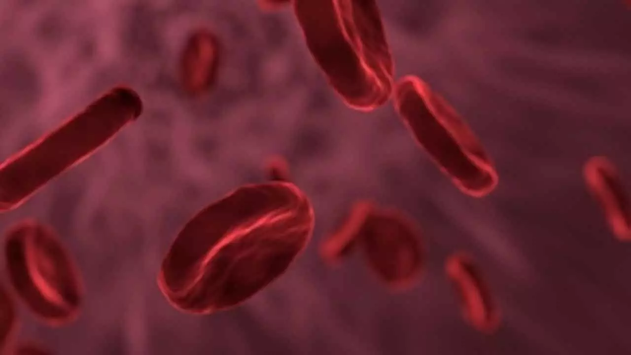 Indian Scientists Develop 1st Human Gene Therapy For Haemophilia A