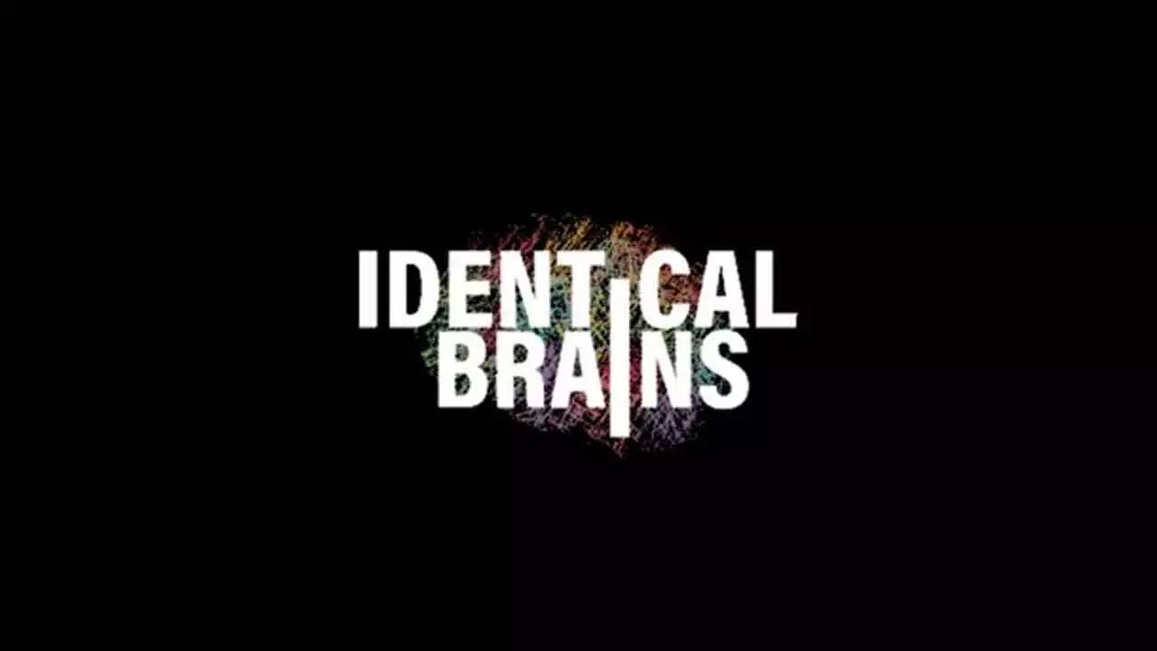 Identical Brains’ IPO On Dec 18