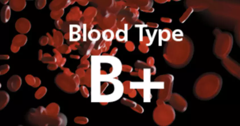 B+ blood type: Unique traits, personality characteristics you need to know