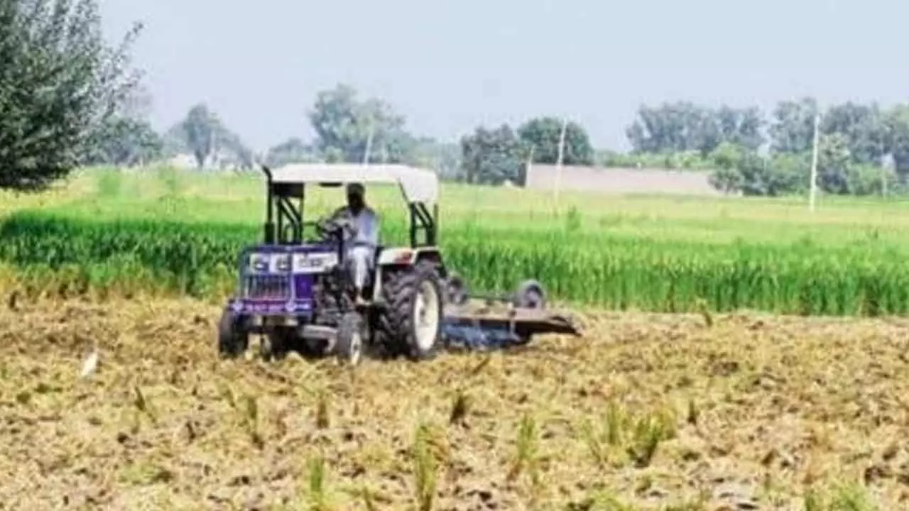 Arrival Of Kharif Crops, Robust Rabi Augur Well