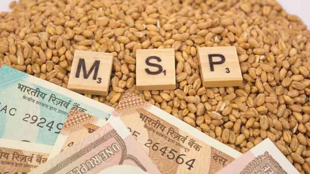 Parliamentary Panel Supports Legal Warranty For MSP