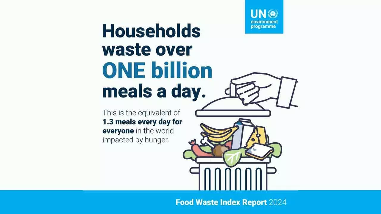 Food Waste Estimated To Be Over A Mindboggling $One Trillion Annually