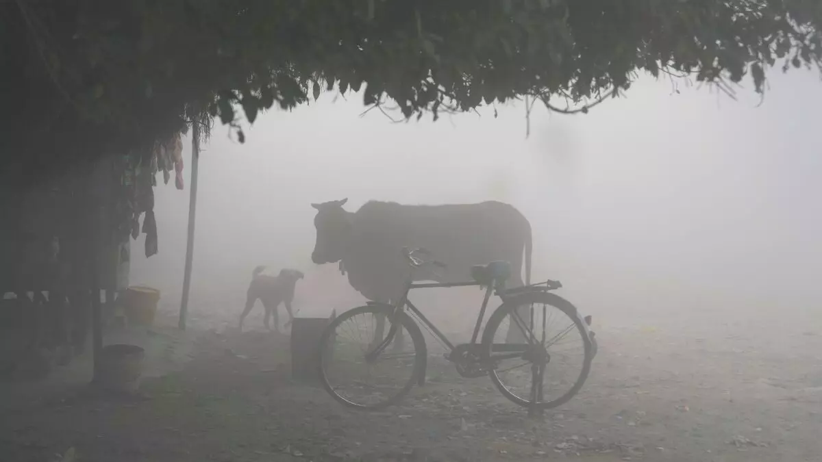 Cold Wave Sweeps Across India: Mercury Plummets from North to South