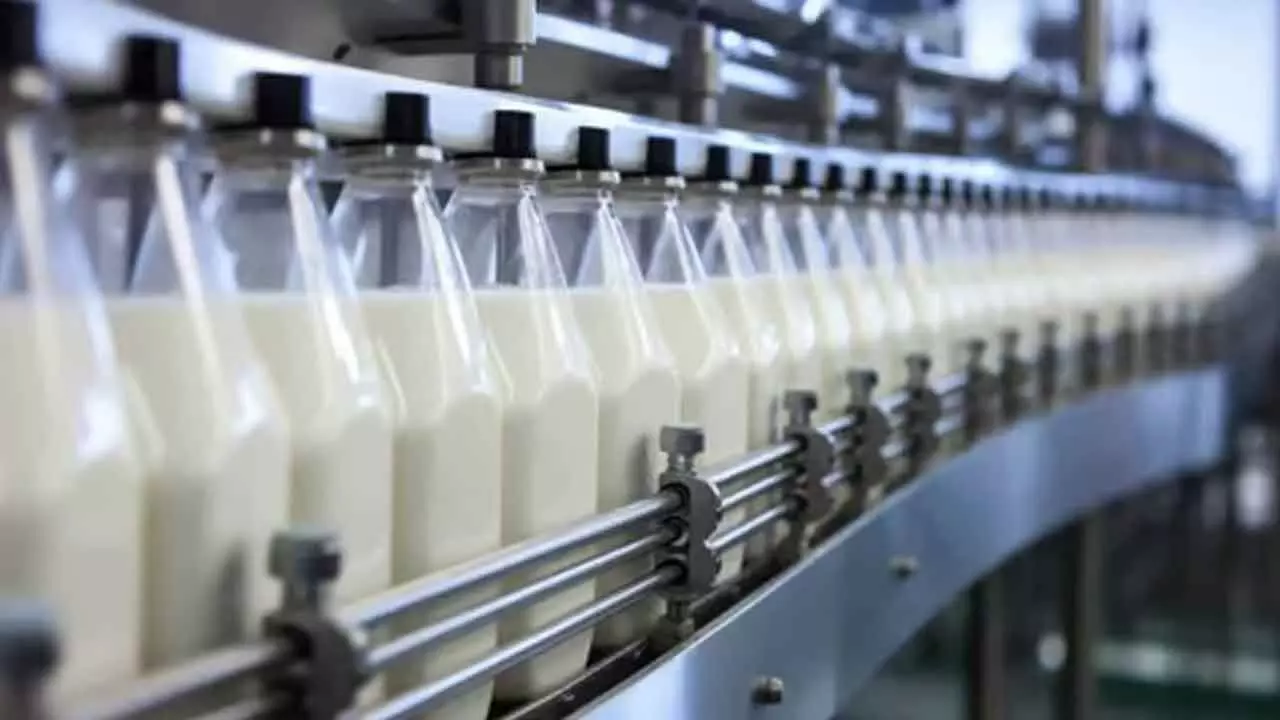 India’s Milk Market Stable With Low Inflation Rates