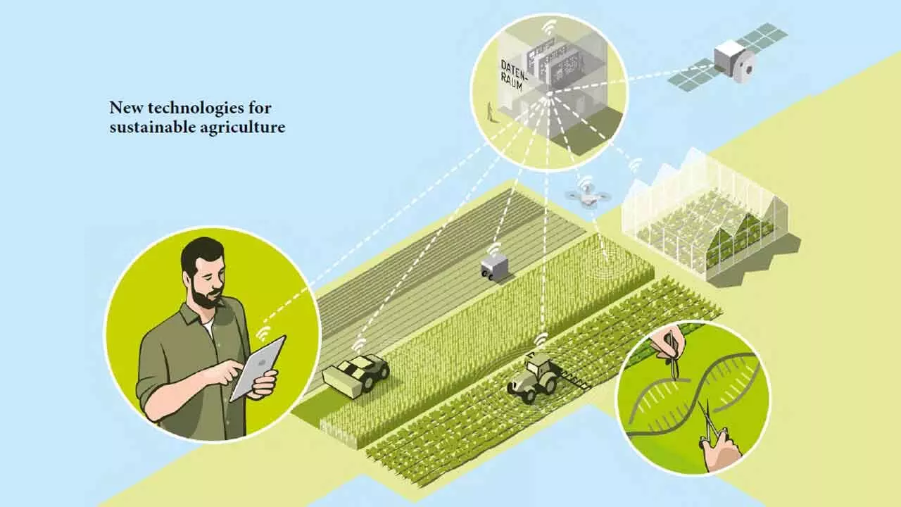 Shed Industrial Farming Systems And Pave The Way For Sustainable Food And Farming Futures