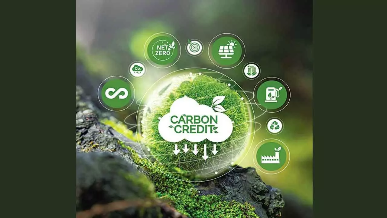 Carbon Credit-Driven Green Financing Crucial For Reducing Emission Levels