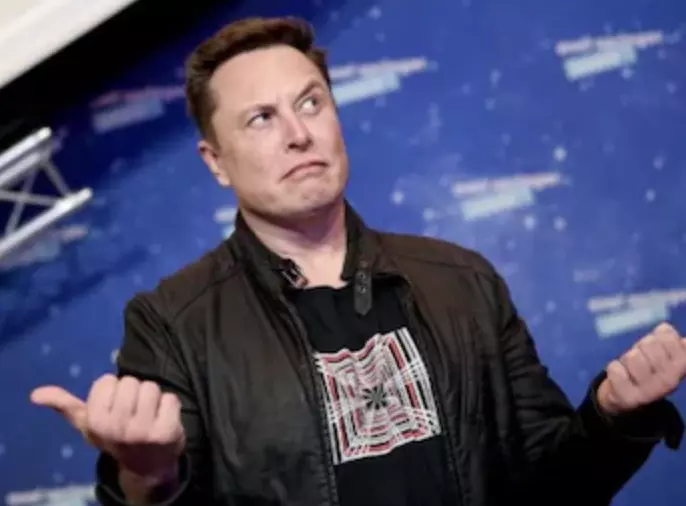 Suicidal Empathy: Elon Musk reacts to Germanys decision not to extradite Saudi suspect