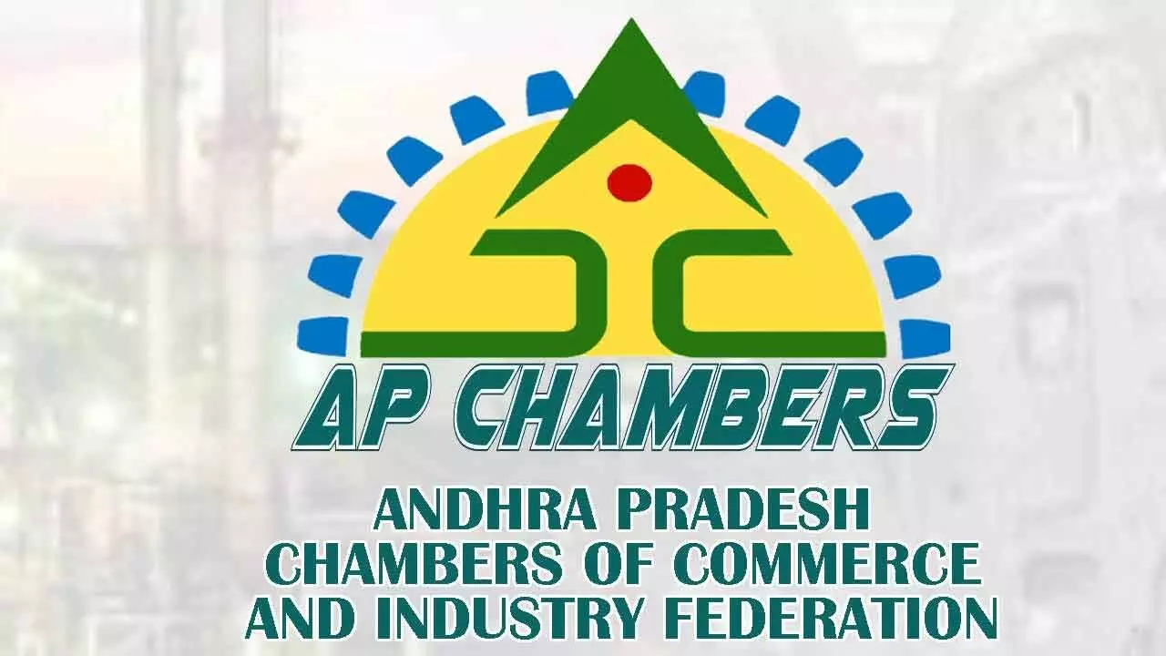 Bring Tourism Sector Under Priority Sector Lending: Ap Chambers To RBI