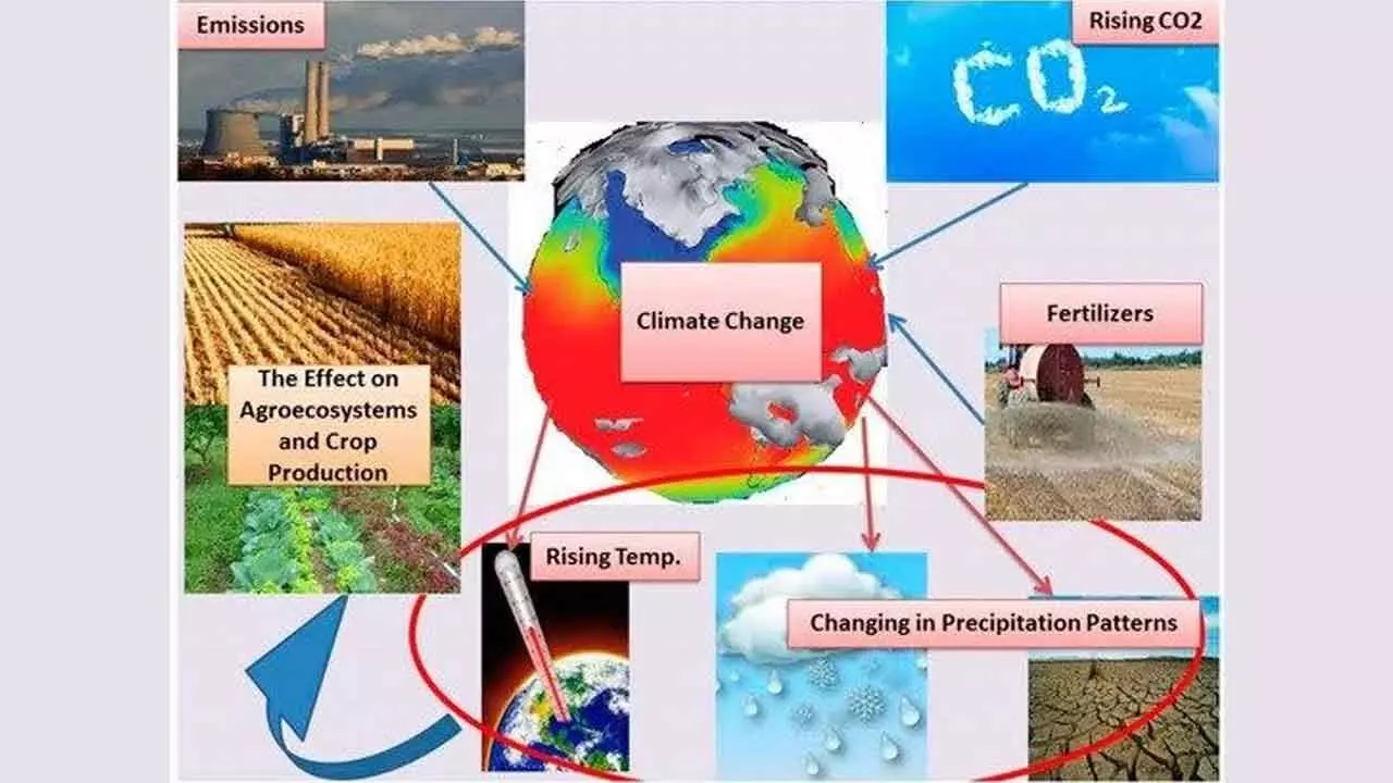 Changes In Plant Nutritional Value Due To High CO2 Levels Will Impact The Entire Global Ecosystem