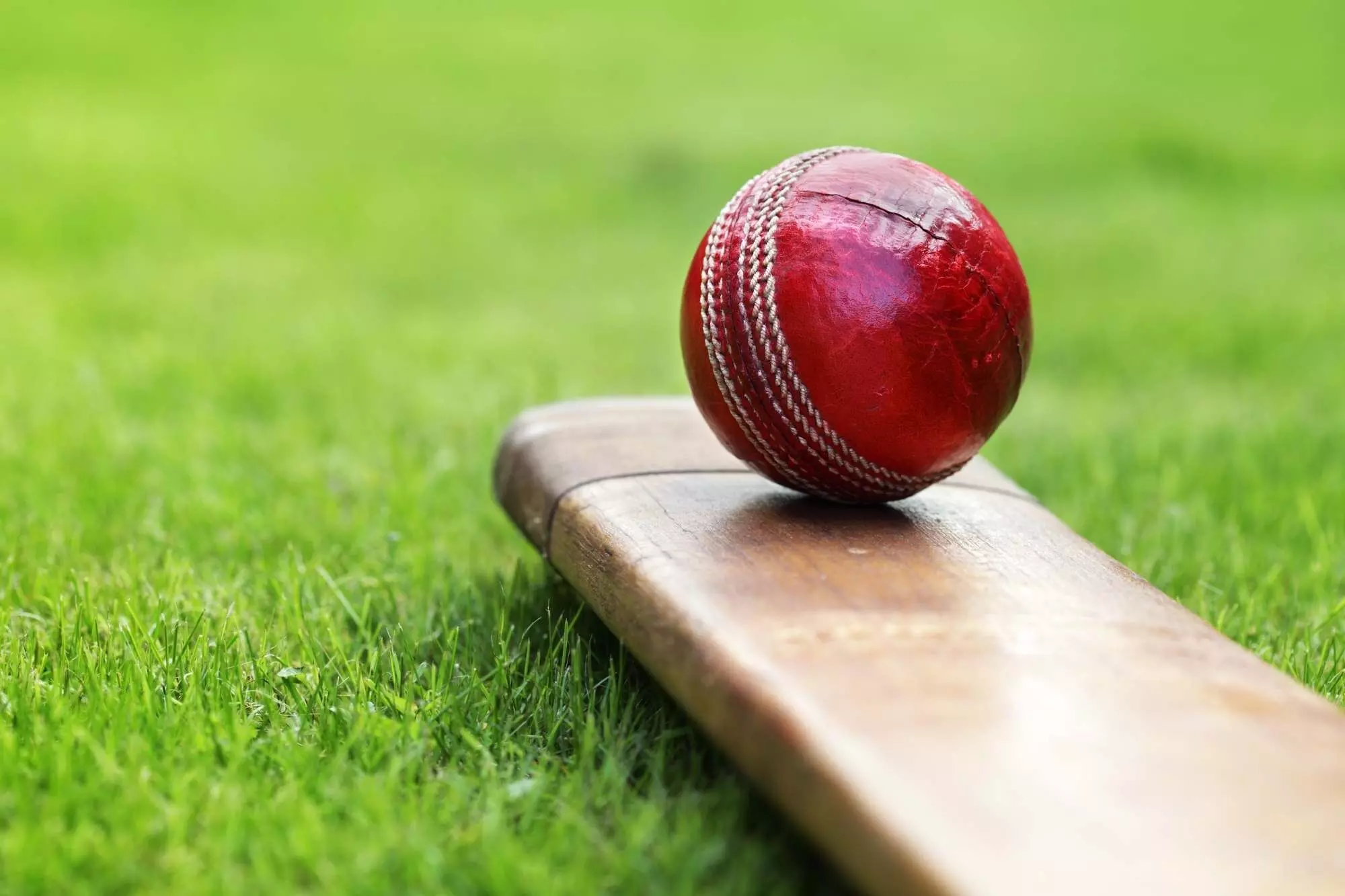 Haryana vs Assam, Vijay Hazare Trophy 2024: Toss Update, Playing XIs, and Live Streaming Information