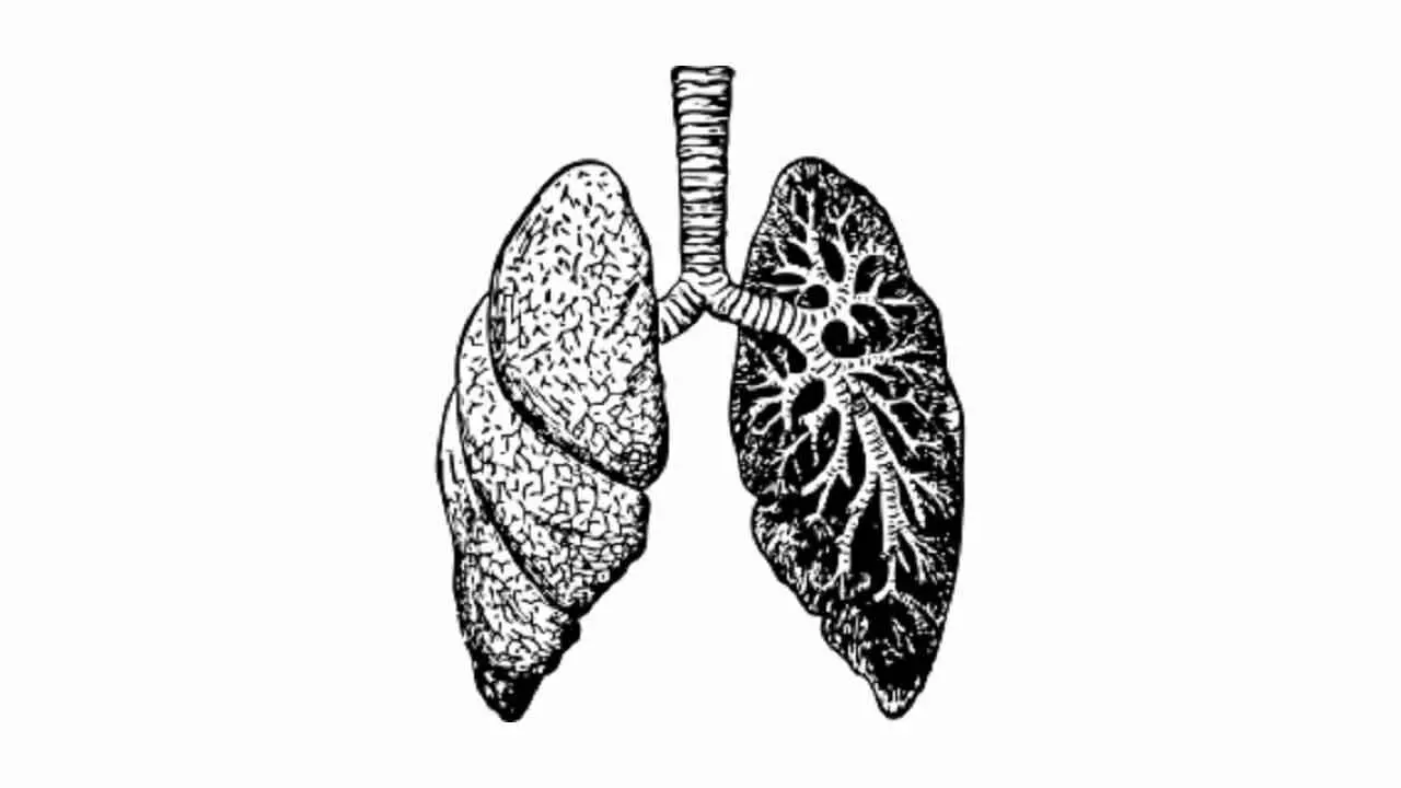 Sepsis-Induced Lung Injury: Ozone Therapy, Promising New Treatment