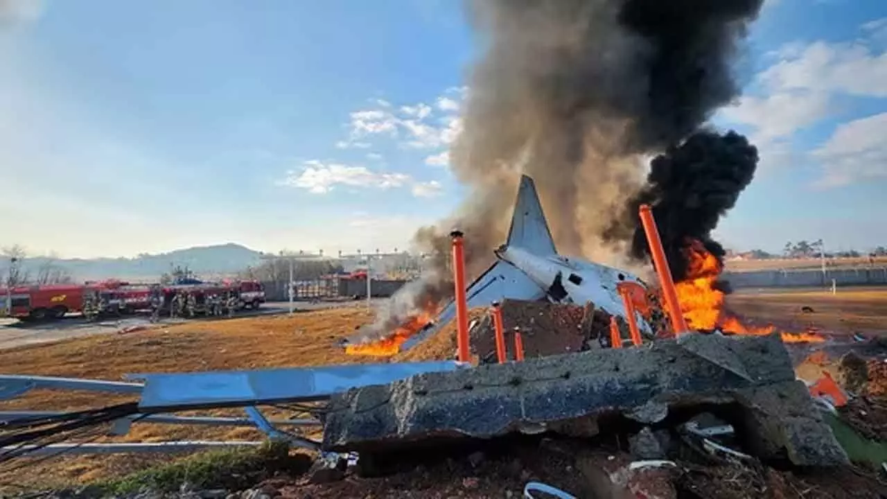 Plane Crash In S Korea Kills 179