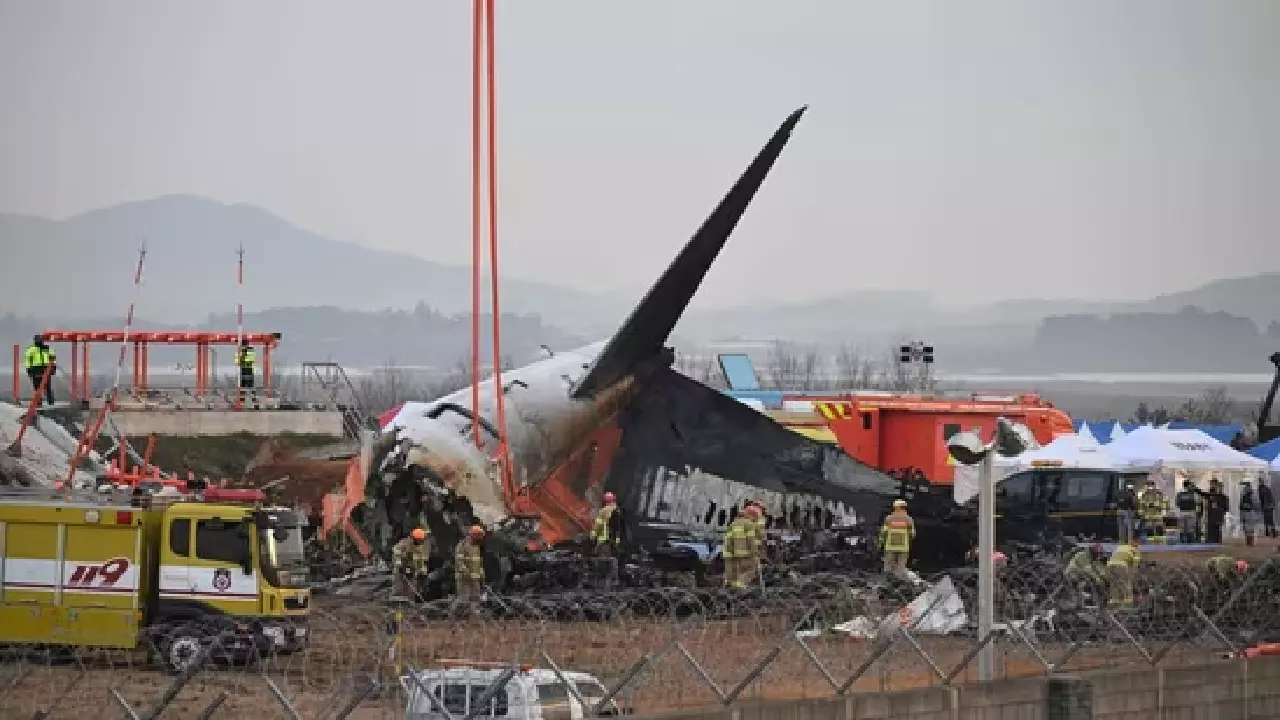 Pilot Declares Mayday: What Led to the Jeju Air Plane Crash in South Korea?