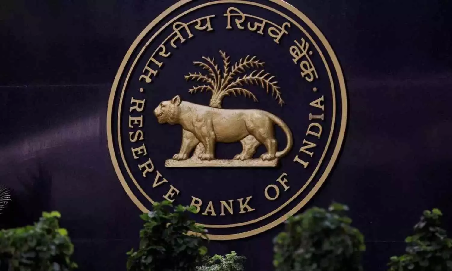 RBI Should Rethink Forex Strategy: Economists