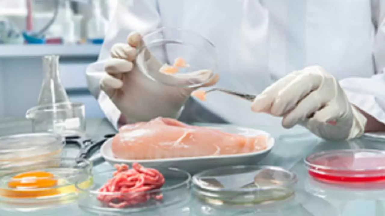 APAC Region Sees Rise In Demand For Lab-Grown Meat, Says Report