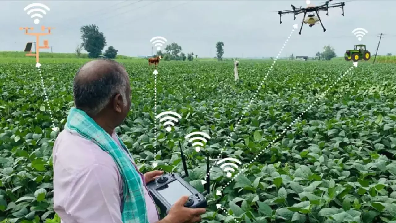 TG Agriculture: Revolutionizing Rice Planting with Drones for Cost-Effective Farming