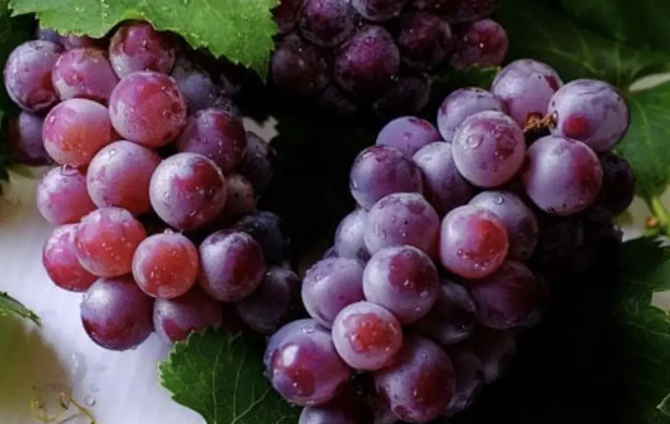 Thousands order grapes online on New Year’s Eve – Discover the viral Spanish tradition