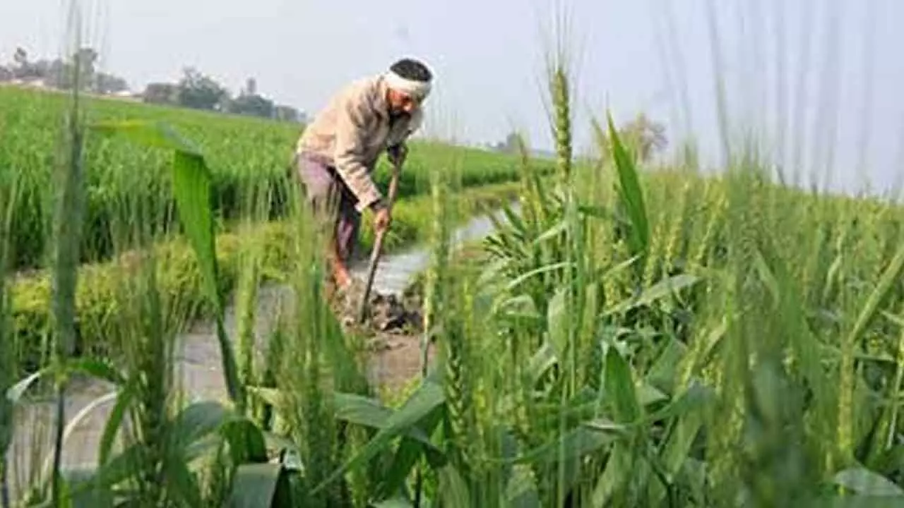 A GST Council-Like Body For Agri Reforms Makes For A Good Idea